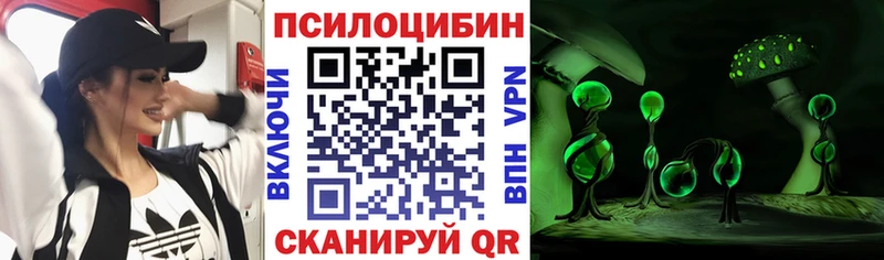 Галлюциногенные грибы прущие грибы  Купить  Баймак 
